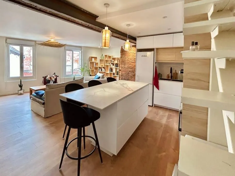 아파트 Les Puits Clos : Magnifique T2 Sous Les Toits 툴루즈