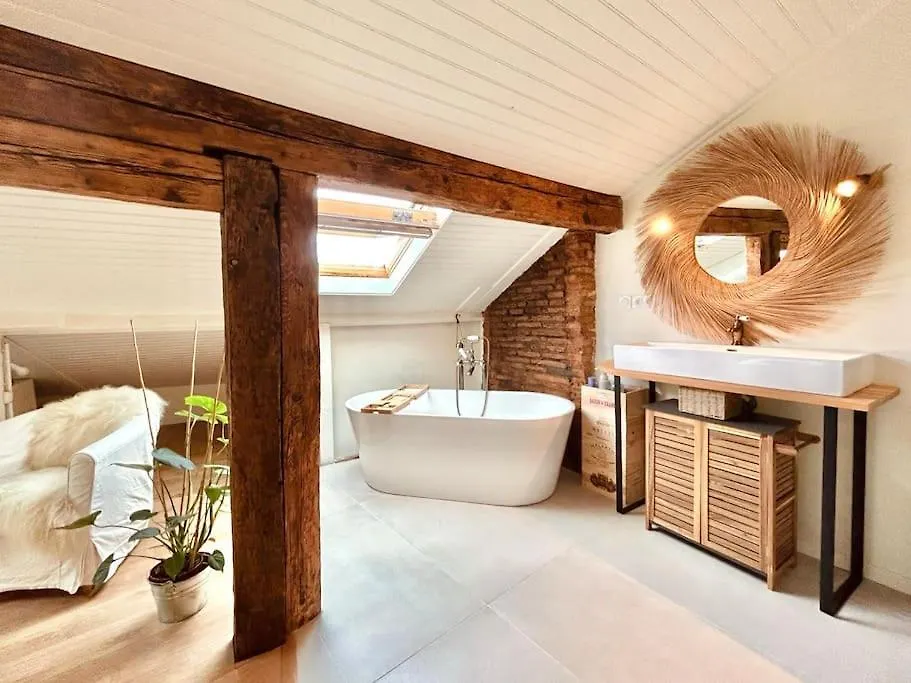 아파트 Les Puits Clos : Magnifique T2 Sous Les Toits 툴루즈 프랑스